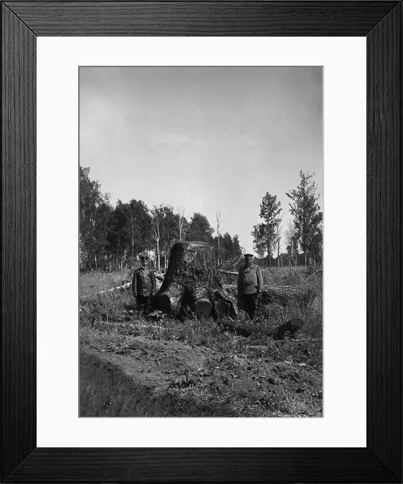 Framed Print : A Stub, 1909. Creator: Dorozhno-Stroitel'nyi Otdel Framed Print : A Stub, 1909. Creator: Dorozhno-Stroitel'nyi Otdel