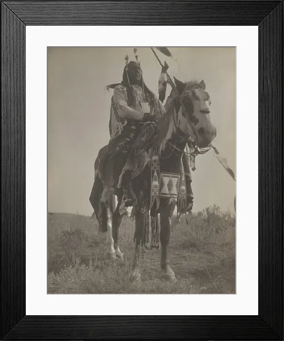 Framed Print : Bird On the Ground, 1908. Creator: Edward Sheriff Curtis Framed Print : Bird On the Ground, 1908. Creator: Edward Sheriff Curtis