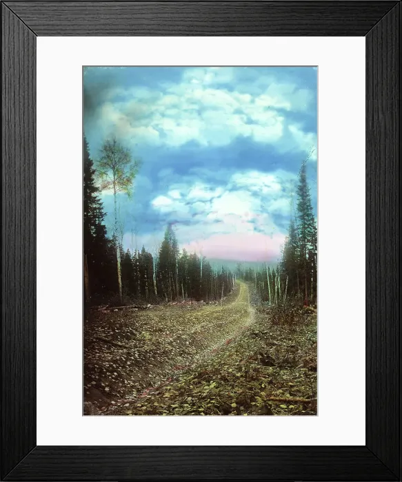 Framed Print : The Roadbed After Planning. Petropavlovsk Branch, 1906-1908. Creator: Dorozhno-Stroitel'nyi Otdel Framed Print : The Roadbed After Planning. Petropavlovsk Branch, 1906-1908. Creator: Dorozhno-Stroitel'nyi Otdel