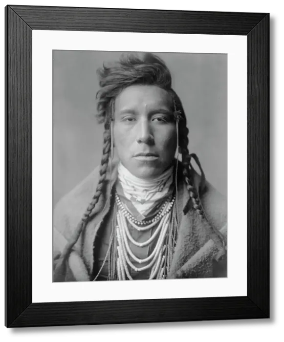 Framed Print : Bird on High Land, c1908. Creator: Edward Sheriff Curtis Framed Print : Bird on High Land, c1908. Creator: Edward Sheriff Curtis