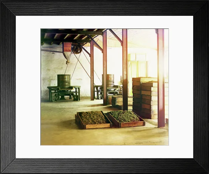 Framed Print : Tea factory in Chakva; tubs and baskets with fragrant tea, between 1905 and 1915. Creator: Sergey Mikhaylovich Prokudin-Gorsky Framed Print : Tea factory in Chakva; tubs and baskets with fragrant tea, between 1905 and 1915. Creator: Sergey Mikhaylovich Prokudin-Gorsky