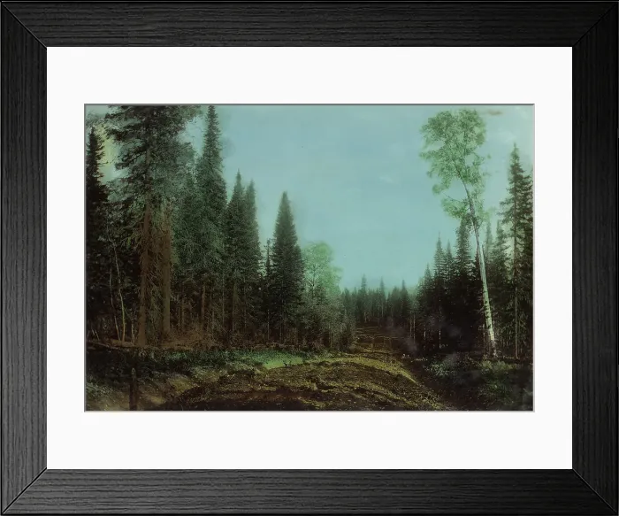 Framed Print : Roadbed Before Planning. Kedrovsk-Alekseevsk Road, 1906-1908. Creator: Dorozhno-Stroitel'nyi Otdel Framed Print : Roadbed Before Planning. Kedrovsk-Alekseevsk Road, 1906-1908. Creator: Dorozhno-Stroitel'nyi Otdel