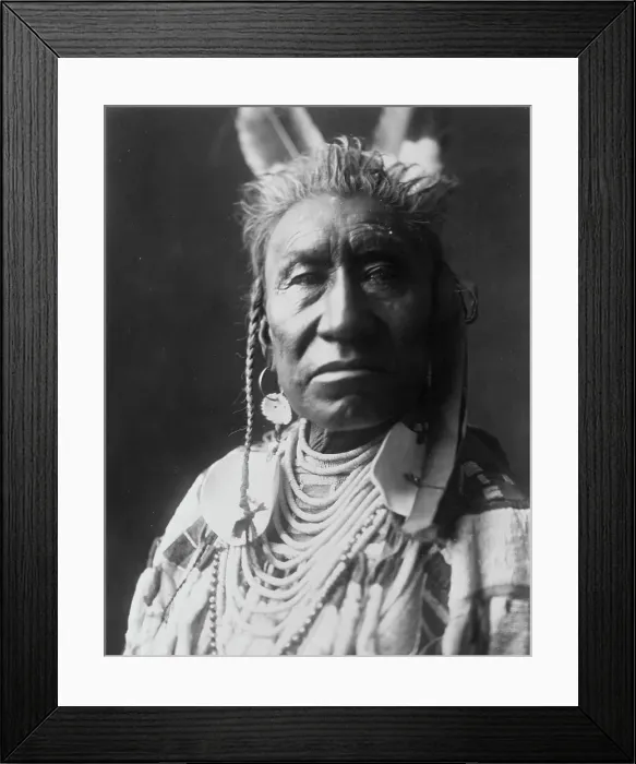 Framed Print : Fish Shows, an Apsaroke Indian, head-and-shoulders portrait, facing front, pompadour... c1908. Creator: Edward Sheriff Curtis Framed Print : Fish Shows, an Apsaroke Indian, head-and-shoulders portrait, facing front, pompadour... c1908. Creator: Edward Sheriff Curtis