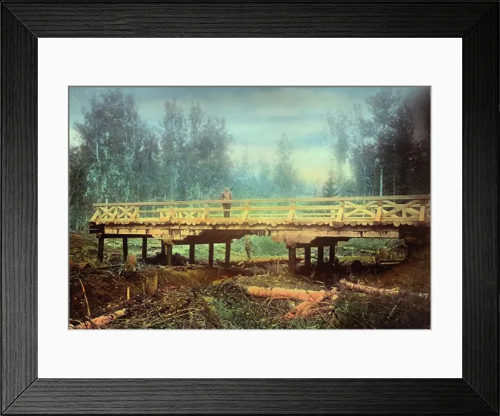 Framed Print : A Bridge Over the Gniluiu River. Dvurechno-Durovskaya Railroad, 1906-1908. Creator: Dorozhno-Stroitel'nyi Otdel Framed Print : A Bridge Over the Gniluiu River. Dvurechno-Durovskaya Railroad, 1906-1908. Creator: Dorozhno-Stroitel'nyi Otdel