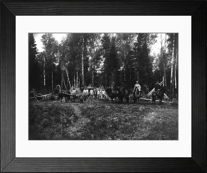 Framed Print : A Group of Workers in the Taiga, 1909. Creator: Dorozhno-Stroitel'nyi Otdel Framed Print : A Group of Workers in the Taiga, 1909. Creator: Dorozhno-Stroitel'nyi Otdel