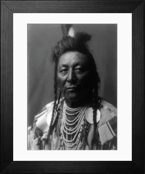 Framed Print : Plenty Coups [A], Apsaroke, c1908. Creator: Edward Sheriff Curtis