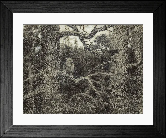 Framed Print : Morning Daybreak in the Wilds of Krasnoyarsk Taiga, 1904. Creator: Boris Vasilievich Smirnov Framed Print : Morning Daybreak in the Wilds of Krasnoyarsk Taiga, 1904. Creator: Boris Vasilievich Smirnov