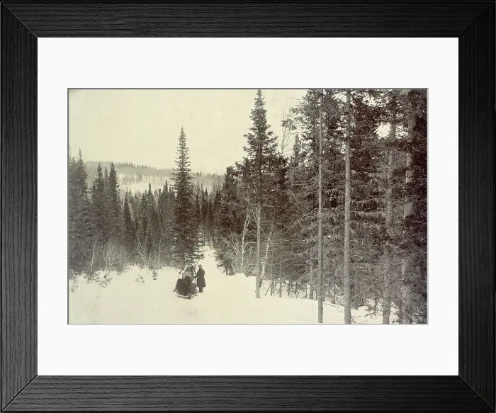 Framed Print : On the Biisk Line Between the Settlements of Kliuchi and Andreevsk: View on the Biisk Link... 1909. Creator: Nikolai Georgievich Katanaev Framed Print : On the Biisk Line Between the Settlements of Kliuchi and Andreevsk: View on the Biisk Link... 1909. Creator: Nikolai Georgievich Katanaev