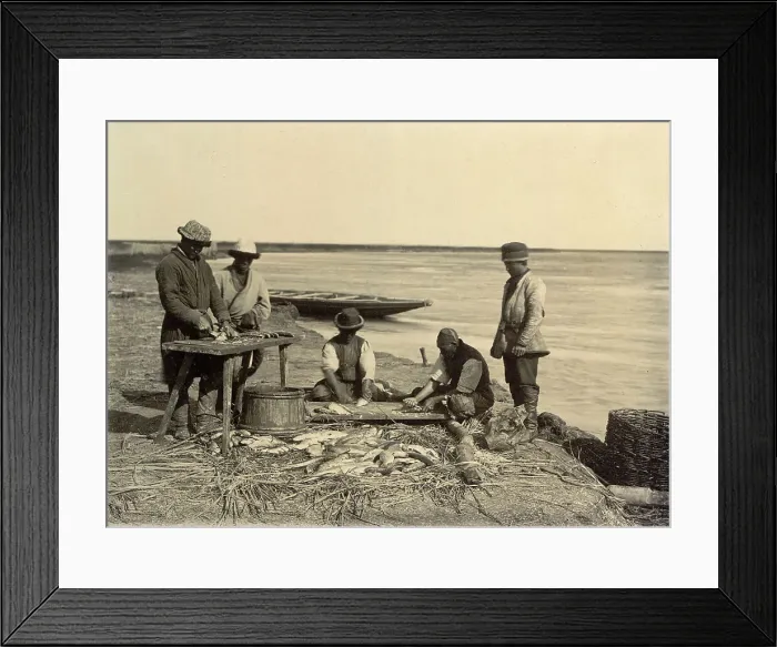 Framed Print : Spreading of fish, 1909. Creator: Nikolai Georgievich Katanaev Framed Print : Spreading of fish, 1909. Creator: Nikolai Georgievich Katanaev