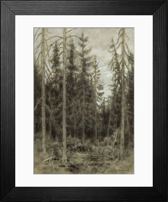 Framed Print : Spruce Taiga near Irkutsk, 1904. Creator: Boris Vasilievich Smirnov Framed Print : Spruce Taiga near Irkutsk, 1904. Creator: Boris Vasilievich Smirnov