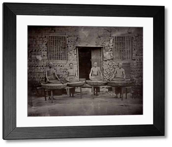 Framed Print : Tea sorting, end of 19th century. Creator: Nikolai Apollonovich Charushin Framed Print : Tea sorting, end of 19th century. Creator: Nikolai Apollonovich Charushin