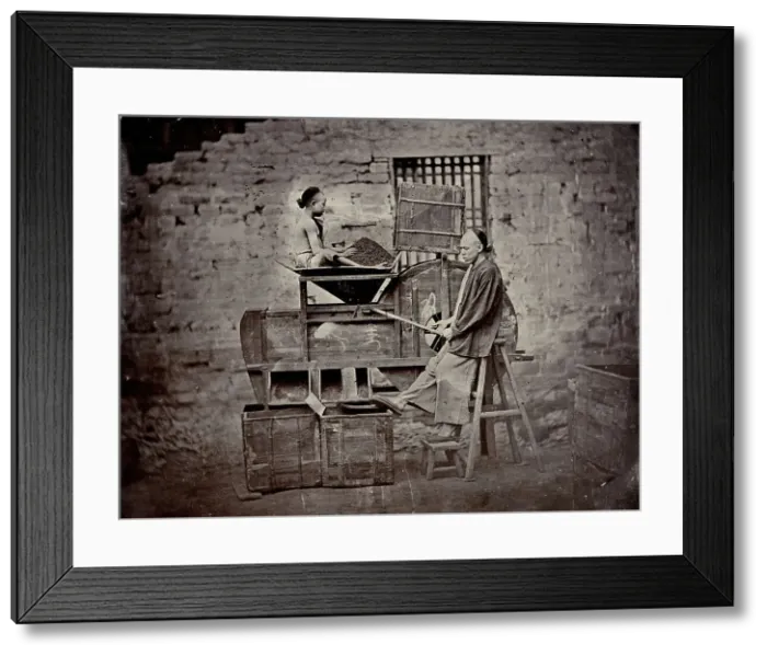 Framed Print : Tea sorting, end of 19th century. Creator: Nikolai Apollonovich Charushin Framed Print : Tea sorting, end of 19th century. Creator: Nikolai Apollonovich Charushin