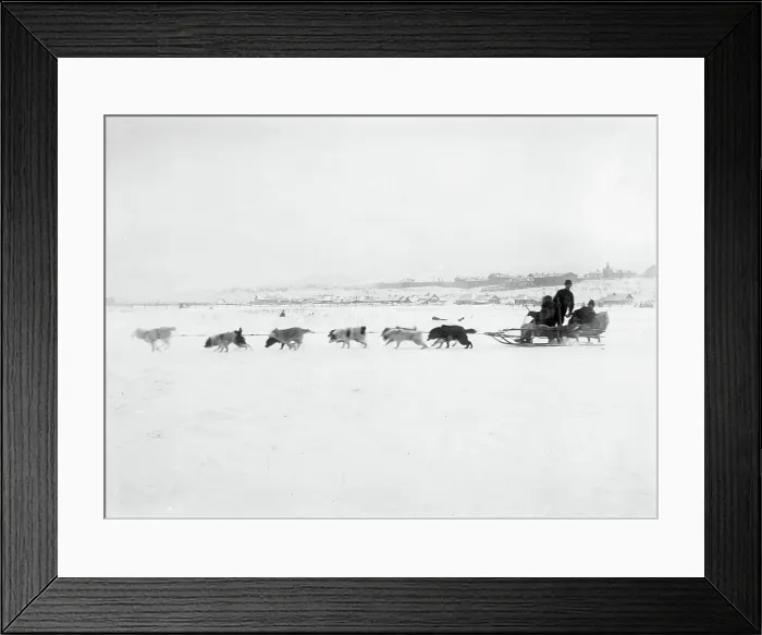 Framed Print : Driving Dogs, 1890. Creator: Ivan Nikolaevich Krasnov Framed Print : Driving Dogs, 1890. Creator: Ivan Nikolaevich Krasnov