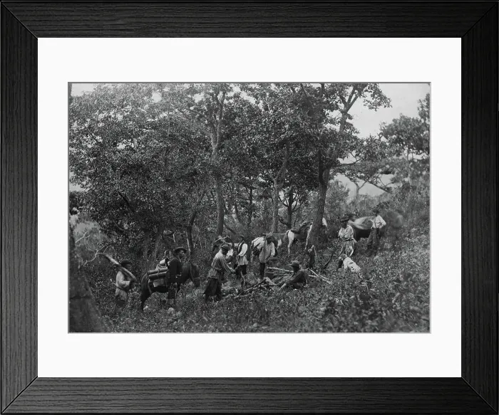 Framed Print : A search party of 7 people on Askold Island, 1865-1871. Creator: VV Lanin Framed Print : A search party of 7 people on Askold Island, 1865-1871. Creator: VV Lanin