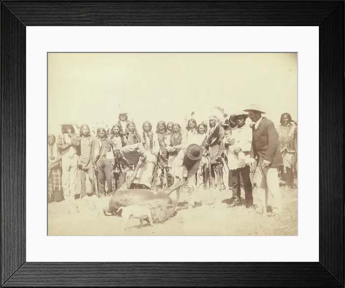 Framed Print : Skinning Beef, between 1887 and 1892. Creator: John C. H. Grabill Framed Print : Skinning Beef, between 1887 and 1892. Creator: John C. H. Grabill