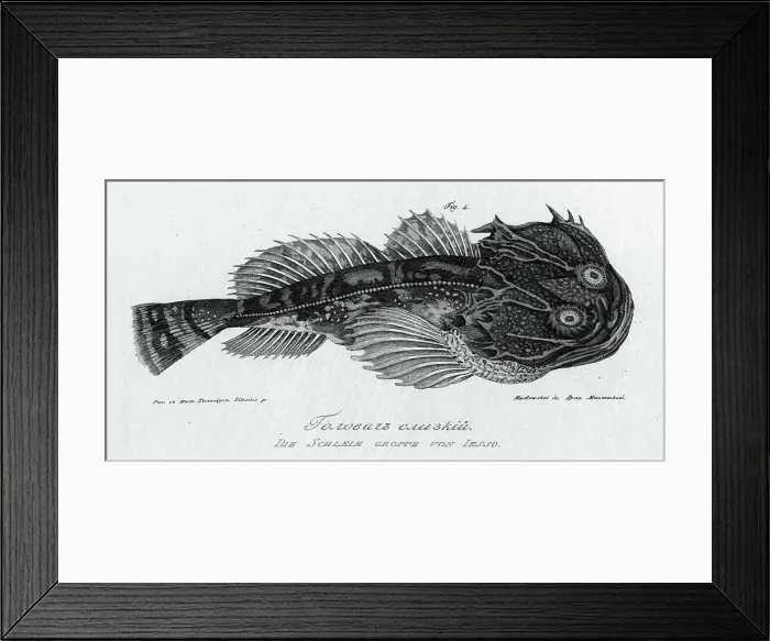 Framed Print : Slimy Golovach, 1813. Creator: Pavel Ivanovich Maslovskii. Slimy Golovach, 1813. Creator: Pavel Ivanovich Maslovskii Framed Print : Slimy Golovach, 1813. Creator: Pavel Ivanovich Maslovskii. Slimy Golovach, 1813. Creator: Pavel Ivanovich Maslovskii