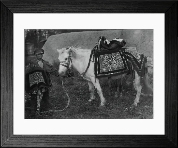 Framed Print : Horse in festive harness and rider in ceremonial attire, 1890. Creator: Unknown Framed Print : Horse in festive harness and rider in ceremonial attire, 1890. Creator: Unknown