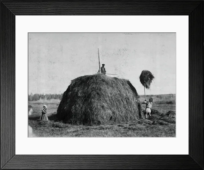 Framed Print : Haymaking, late 19th cent - early 20th cent. Creator: I Popov Framed Print : Haymaking, late 19th cent - early 20th cent. Creator: I Popov