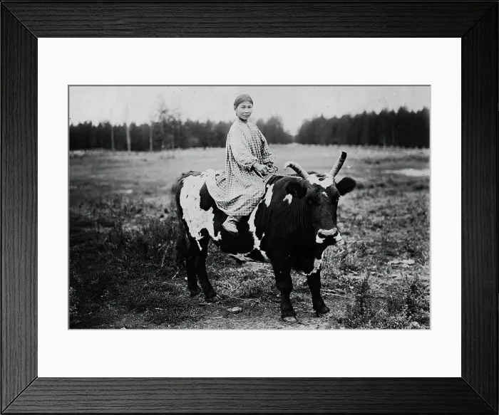 Framed Print : A girl riding a bull, 1890. Creator: Unknown Framed Print : A girl riding a bull, 1890. Creator: Unknown