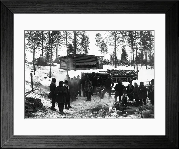 Framed Print : In the woods, 1890. Creator: Unknown Framed Print : In the woods, 1890. Creator: Unknown
