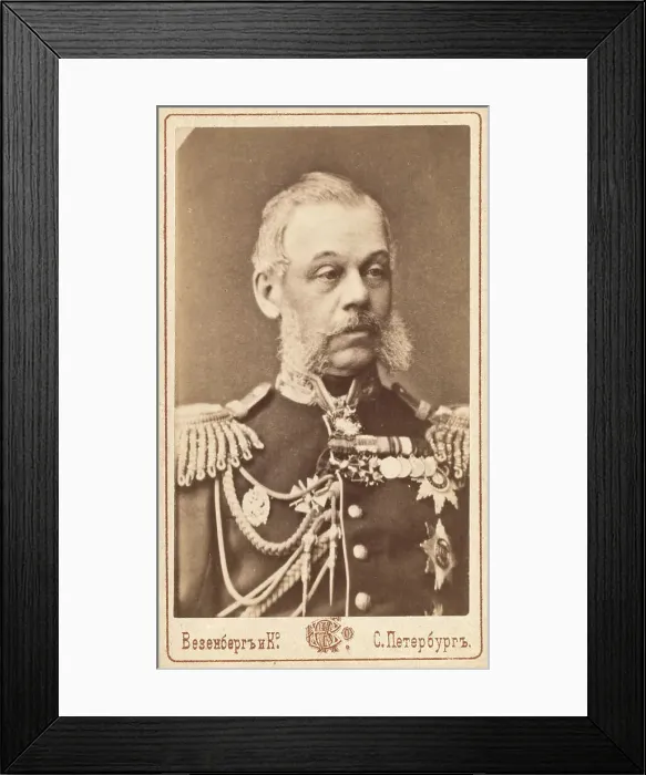 Framed Print : Nikola'i Alekseevich Miliutin, head-and-shoulders portrait, facing slightly...between 1880 and 86 Creator: Unknown Framed Print : Nikola'i Alekseevich Miliutin, head-and-shoulders portrait, facing slightly...between 1880 and 86 Creator: Unknown