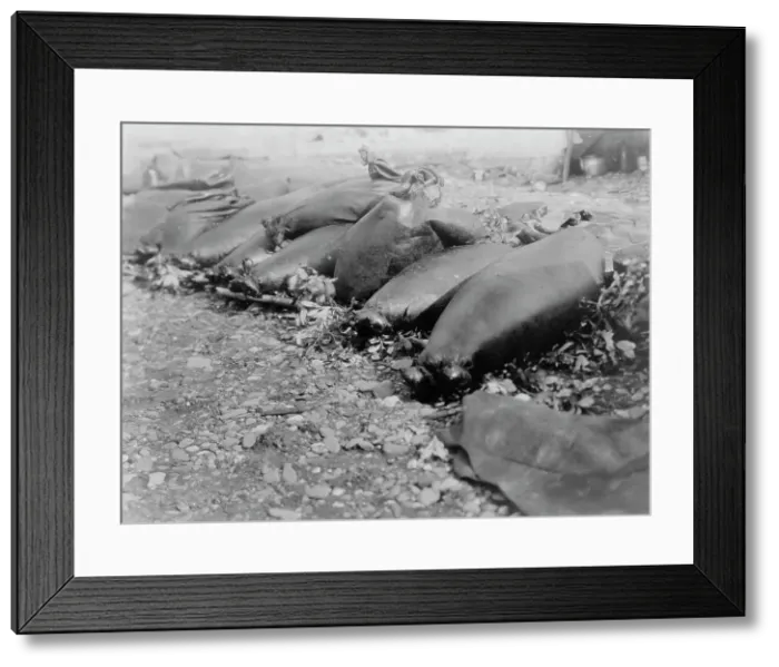 Framed Print : Food containers, Pokes-Kotzebue, c1929. Creator: Edward Sheriff Curtis Framed Print : Food containers, Pokes-Kotzebue, c1929. Creator: Edward Sheriff Curtis