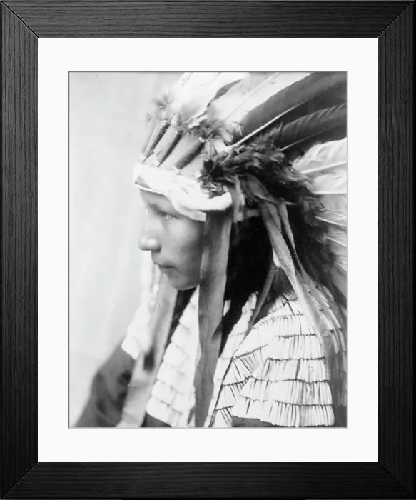 Framed Print : The Daughter of Bad Horse (profile), c1905. Creator: Edward Sheriff Curtis Framed Print : The Daughter of Bad Horse (profile), c1905. Creator: Edward Sheriff Curtis