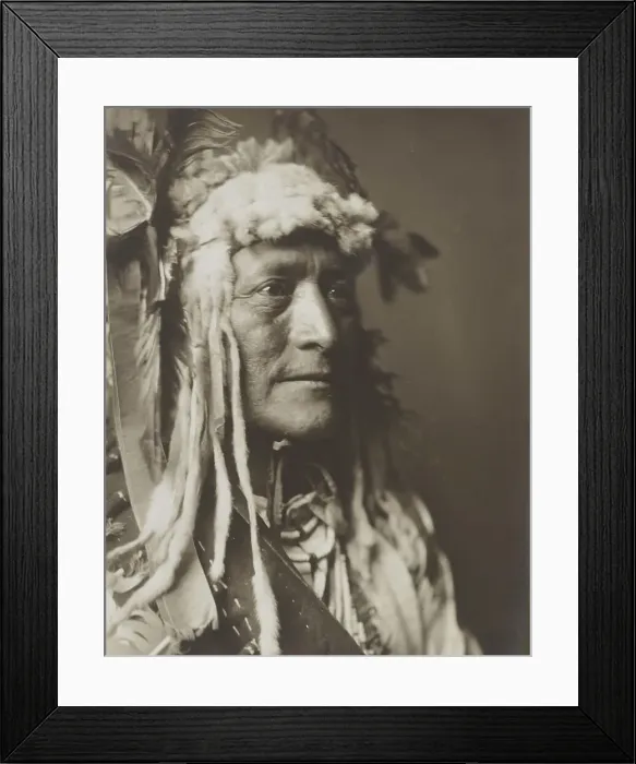 Framed Print : White Duck, c1908. Creator: Edward Sheriff Curtis Framed Print : White Duck, c1908. Creator: Edward Sheriff Curtis
