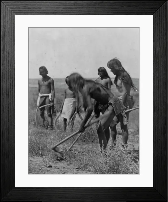 Framed Print : Digging out the snakes-Hopi, c1907. Creator: Edward Sheriff Curtis Framed Print : Digging out the snakes-Hopi, c1907. Creator: Edward Sheriff Curtis