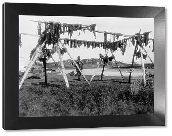 Drying whale meat-Hooper Bay, c1929. Creator: Edward Sheriff Curtis
