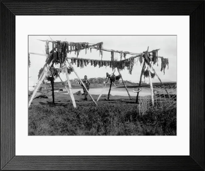 Framed Print : Drying whale meat-Hooper Bay, c1929. Creator: Edward Sheriff Curtis Framed Print : Drying whale meat-Hooper Bay, c1929. Creator: Edward Sheriff Curtis