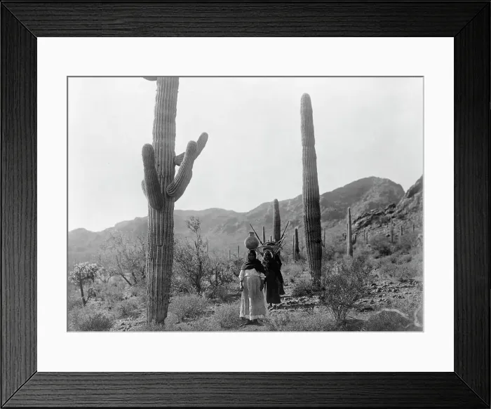 Framed Print : Hasen harvest B-Qahatika. Three women walking through desert, two with kiho carriers and... c1907. Creator: Edward Sheriff Curtis Framed Print : Hasen harvest B-Qahatika. Three women walking through desert, two with kiho carriers and... c1907. Creator: Edward Sheriff Curtis