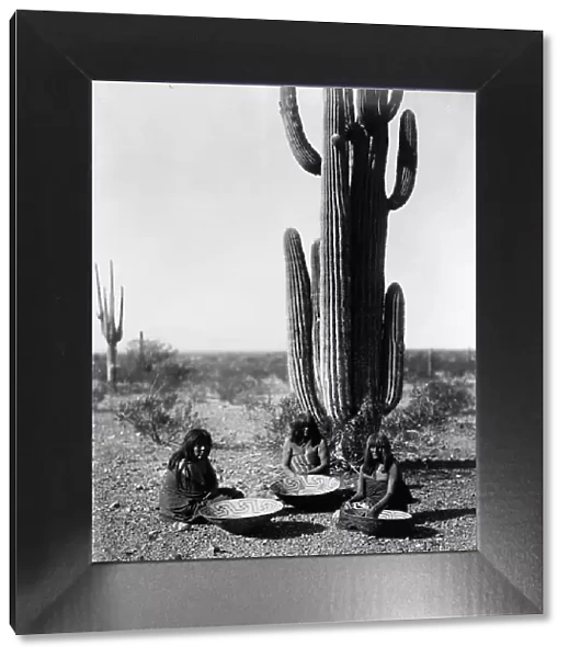 Saguaro gatherers, c1907. Creator: Edward Sheriff Curtis