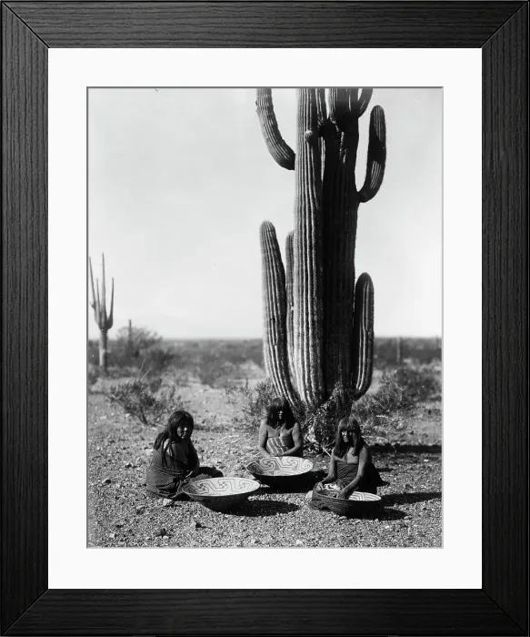 Framed Print : Saguaro gatherers, c1907. Creator: Edward Sheriff Curtis Framed Print : Saguaro gatherers, c1907. Creator: Edward Sheriff Curtis