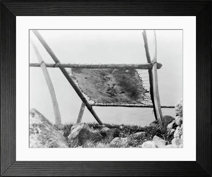 Framed Print : Drying walrus hide, Diomede, Alaska, c1929. Creator: Edward Sheriff Curtis Framed Print : Drying walrus hide, Diomede, Alaska, c1929. Creator: Edward Sheriff Curtis