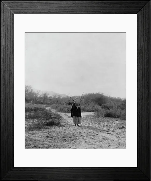 Framed Print : Pima woman, with burden basket on back, walking away from camera, Pima, Arizona, c1907. Creator: Edward Sheriff Curtis Framed Print : Pima woman, with burden basket on back, walking away from camera, Pima, Arizona, c1907. Creator: Edward Sheriff Curtis