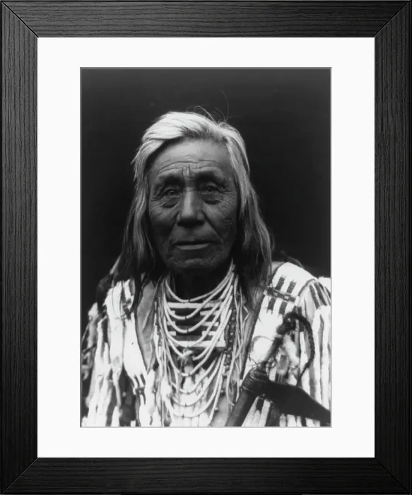 Framed Print : Cayuse type, c1910. Creator: Edward Sheriff Curtis Framed Print : Cayuse type, c1910. Creator: Edward Sheriff Curtis