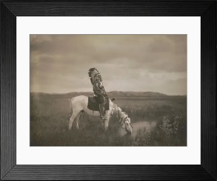 Framed Print : An oasis in the Badlands, c1905. Creator: Edward Sheriff Curtis Framed Print : An oasis in the Badlands, c1905. Creator: Edward Sheriff Curtis