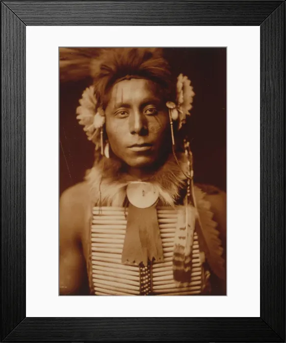 Framed Print : Sitting Eagle, c1905. Creator: Edward Sheriff Curtis Framed Print : Sitting Eagle, c1905. Creator: Edward Sheriff Curtis