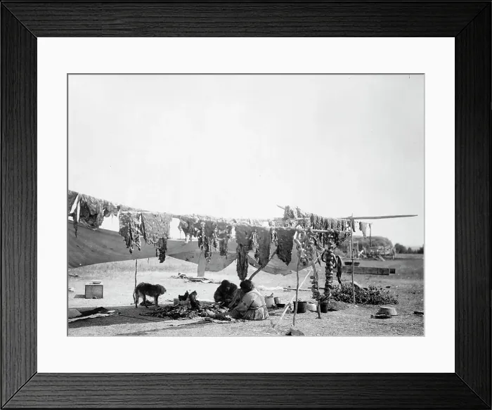 Framed Print : In camp, 1908, c1908. Creator: Edward Sheriff Curtis Framed Print : In camp, 1908, c1908. Creator: Edward Sheriff Curtis