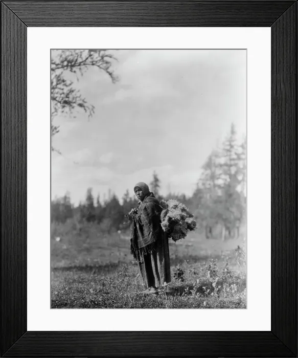 Framed Print : Moss for the baby-bags-Cree, c1927. Creator: Edward Sheriff Curtis Framed Print : Moss for the baby-bags-Cree, c1927. Creator: Edward Sheriff Curtis