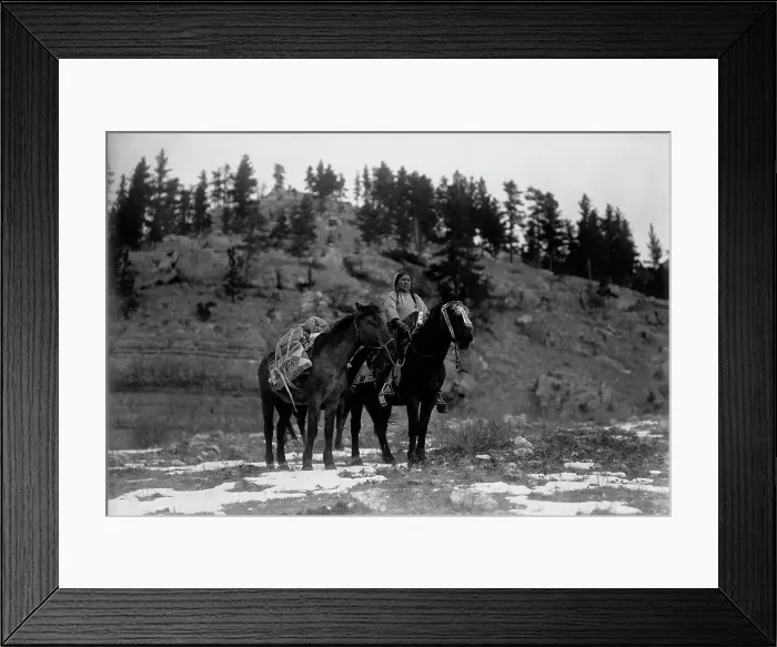 Framed Print : Pack horse [i.e. packhorse]-Apsaroke, c1908. Creator: Edward Sheriff Curtis
