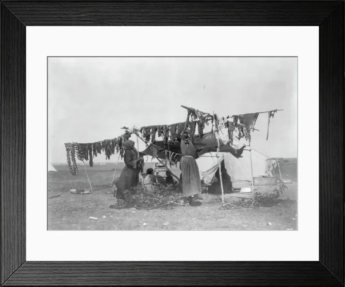 Framed Print : Drying meat, c1908. Creator: Edward Sheriff Curtis Framed Print : Drying meat, c1908. Creator: Edward Sheriff Curtis