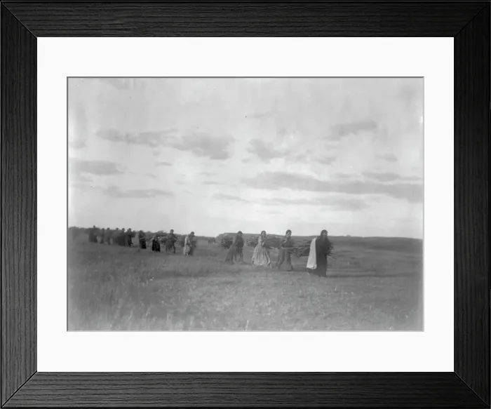 Framed Print : The brush-gatherers-Arikara, c1908. Creator: Edward Sheriff Curtis