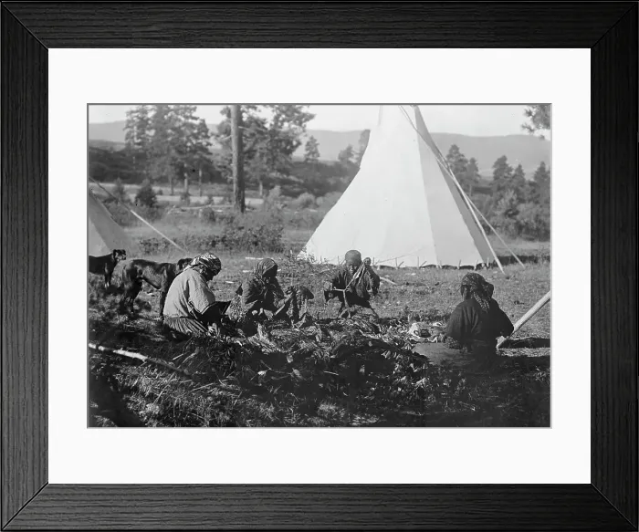 Framed Print : Jerking meat-Flathead, c1910. Creator: Edward Sheriff Curtis Framed Print : Jerking meat-Flathead, c1910. Creator: Edward Sheriff Curtis
