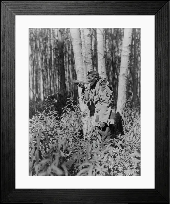Framed Print : Calling a moose-Cree, c1927. Creator: Edward Sheriff Curtis Framed Print : Calling a moose-Cree, c1927. Creator: Edward Sheriff Curtis