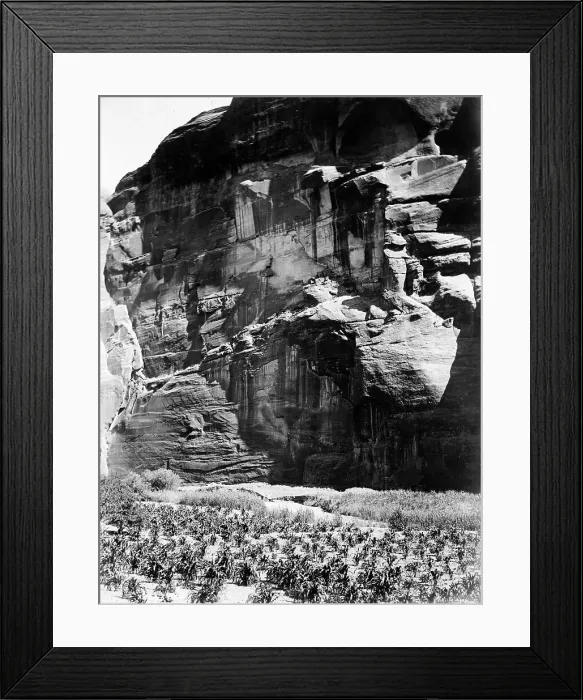 Framed Print : Cornfields of Cañon del Muerto, 1906, c1907. Creator: Edward Sheriff Curtis Framed Print : Cornfields of Cañon del Muerto, 1906, c1907. Creator: Edward Sheriff Curtis