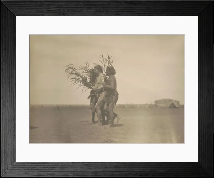 Framed Print : Arikara Medicine Ceremony-The Ducks, c1908. Creator: Edward Sheriff Curtis Framed Print : Arikara Medicine Ceremony-The Ducks, c1908. Creator: Edward Sheriff Curtis