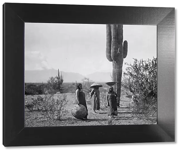Saguaro fruit gatherers-Maricopa, c1907. Creator: Edward Sheriff Curtis