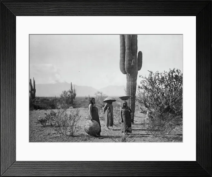 Framed Print : Saguaro fruit gatherers-Maricopa, c1907. Creator: Edward Sheriff Curtis Framed Print : Saguaro fruit gatherers-Maricopa, c1907. Creator: Edward Sheriff Curtis